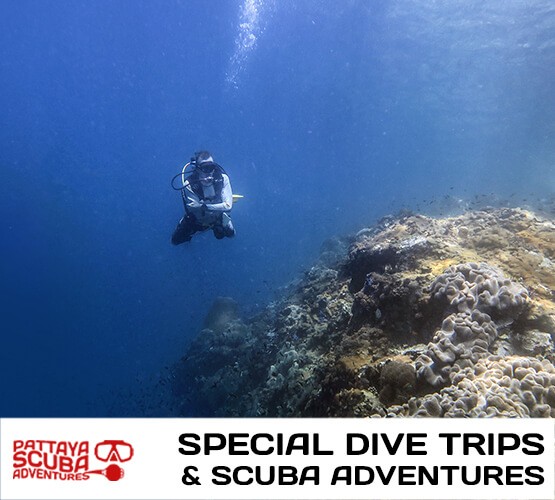 Special Pattaya Dive Trips packages