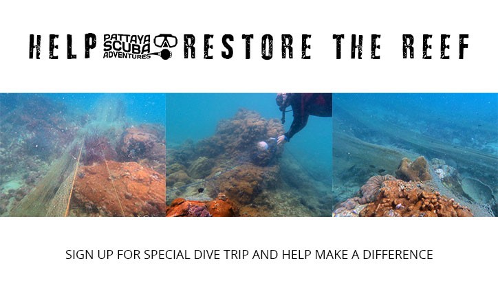Restore the Reef Project Pattaya Scuba Diving