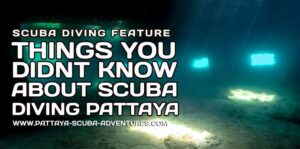 Things you didnt know about scuba diving Pattaya
