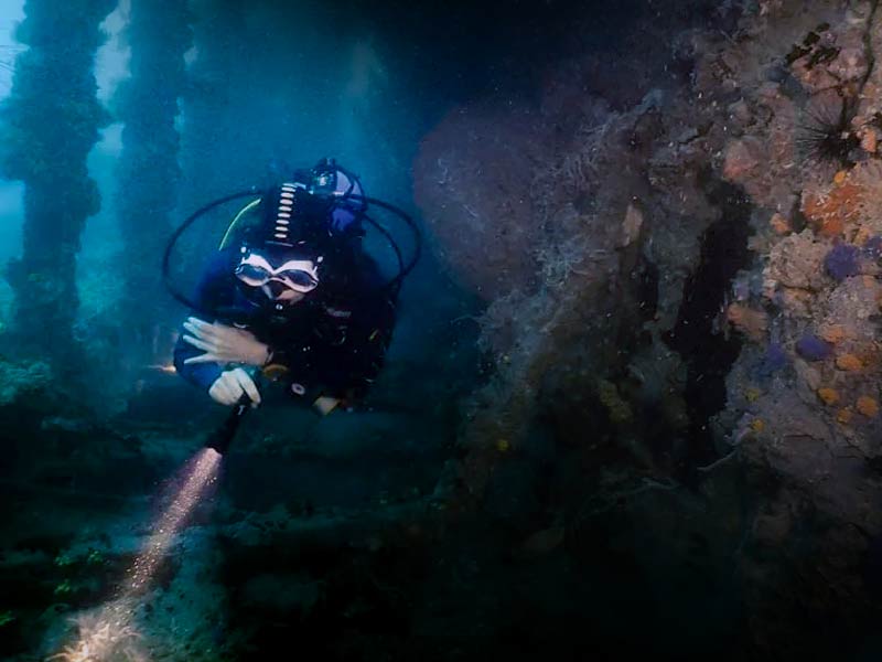 Hardeep Wreck Near Pattaya Thailand