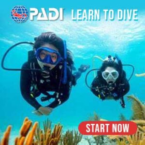 Learn to Dive In Thailand