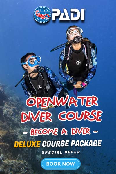 PADI Open Water Course Deluxe Package Pattaya Thailand