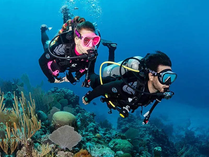 Scuba Divers over Coral Reef in Thailand