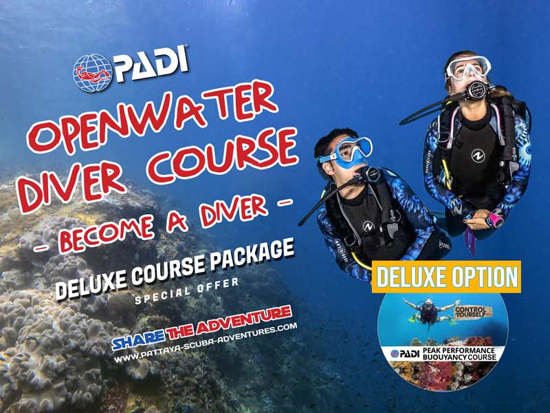 PADI Open water Course Deluxe Package Pattaya Scuba Adventures Thailand