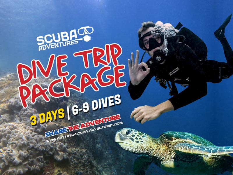 Pattaya Diving Package 3 Days Scuba Adventures Thailand