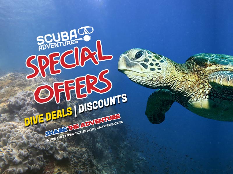 Scuba Deals and Dive Packages Pattaya Scuba Adventures Thailand
