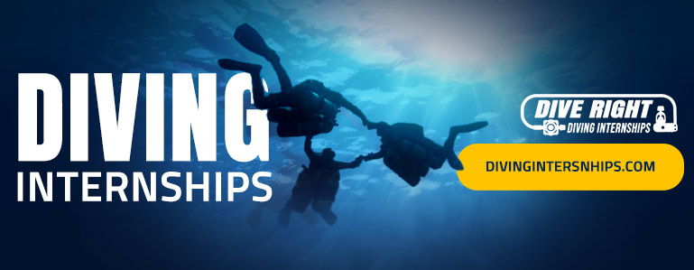 Dive Instructor Diving Internships Training