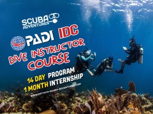 PADI Dive Instructor Pattaya Thailand IDC Pro Dive