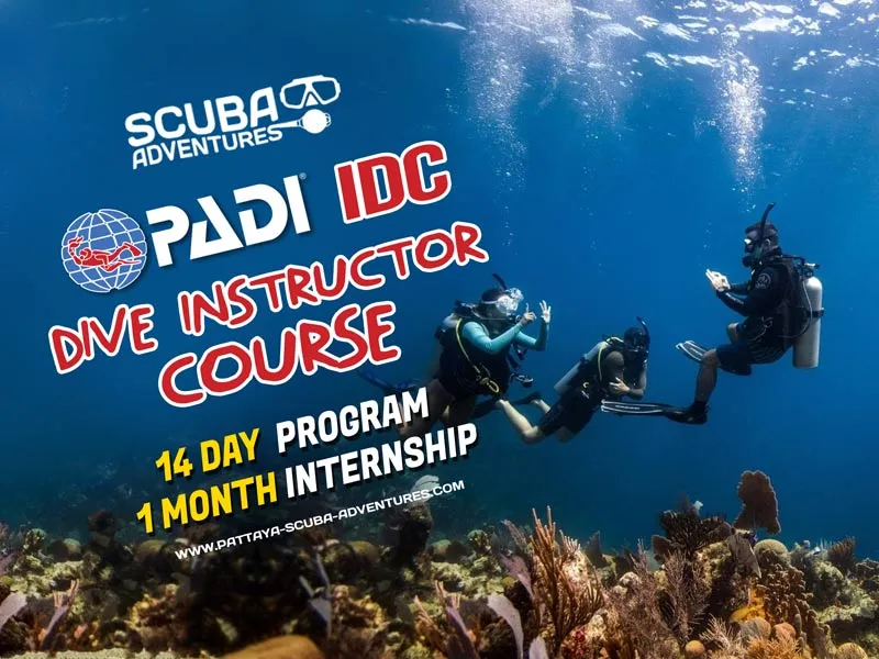 PADI Dive Instructor Pattaya Thailand IDC Pro Dive