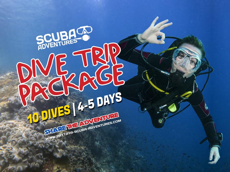 Pattaya Dive Package 5 Days Scuba Adventures Thailand