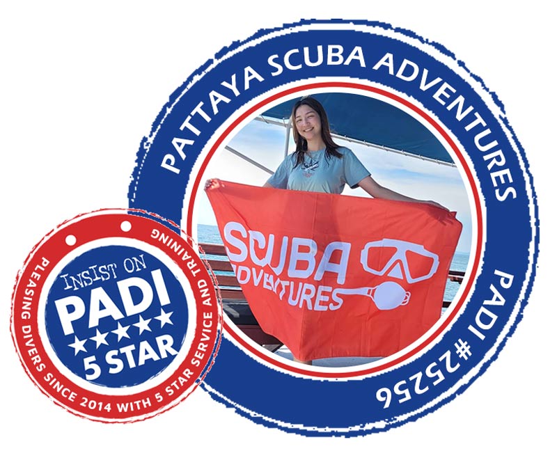 Pattaya Scuba Adventures PADI 5 Star IDC
