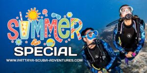 Pattaya Summer Special Scuba Sale and Dive Package Discounts