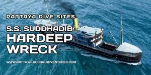 SS Suddhadib The Hardeep Wreck Pattaya Thailand