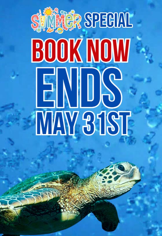 Summer Special Dive Package Course Sale May