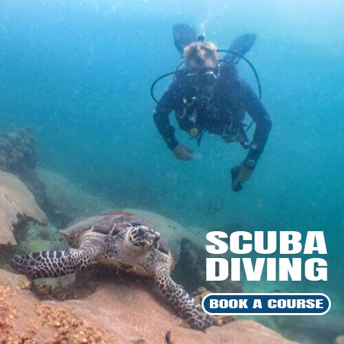 Pattaya Scuba Diving course Prices